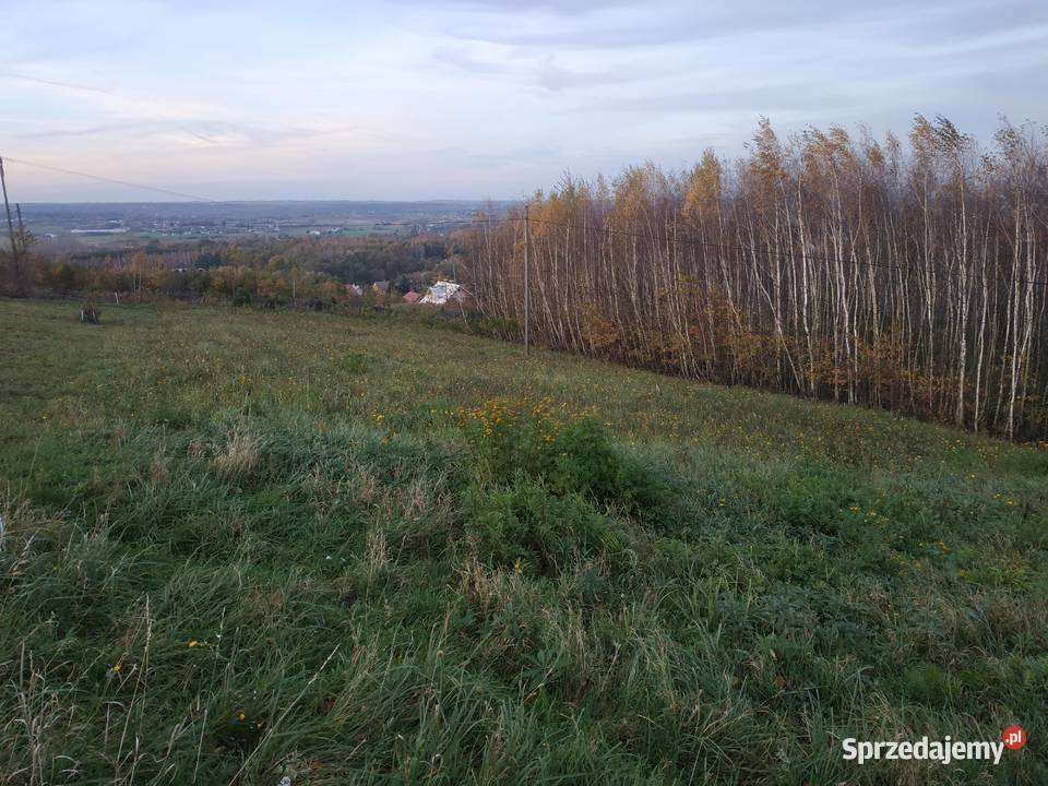 Działka budowlana rekreacyjna Nieruchomości Podgrodzie sprzedam