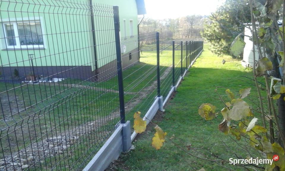 Panel ogrodzeniowy 123x250 fi4mm Gorlice