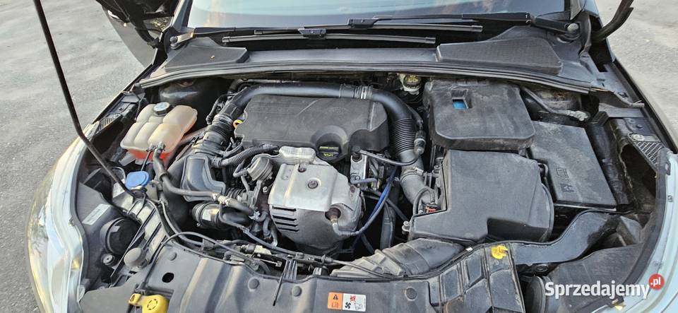 Ford Focus 2013 10ecobost Rok produkcji 2013 Machnówka