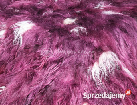 Narzuta ze skóry owczej islandzkiej biskupi Szaflary