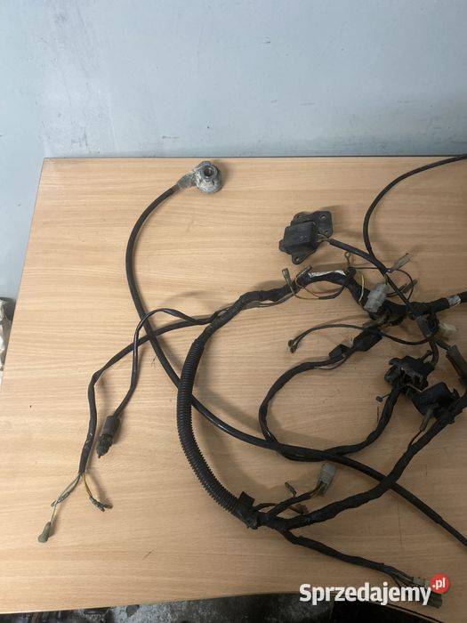 Elektryka wiazka wlektryczna przełacznik Poznań