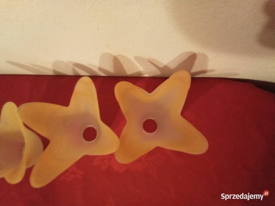 Klosze kwiatowe komplet Warszawa