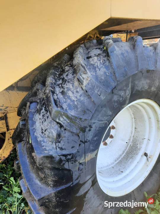 holland tx66 nieuszkodzony Sieraków Śląski