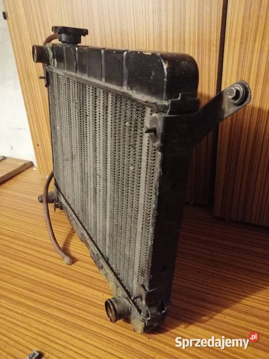 Polonez borewicz caro truck 19 chlodnica