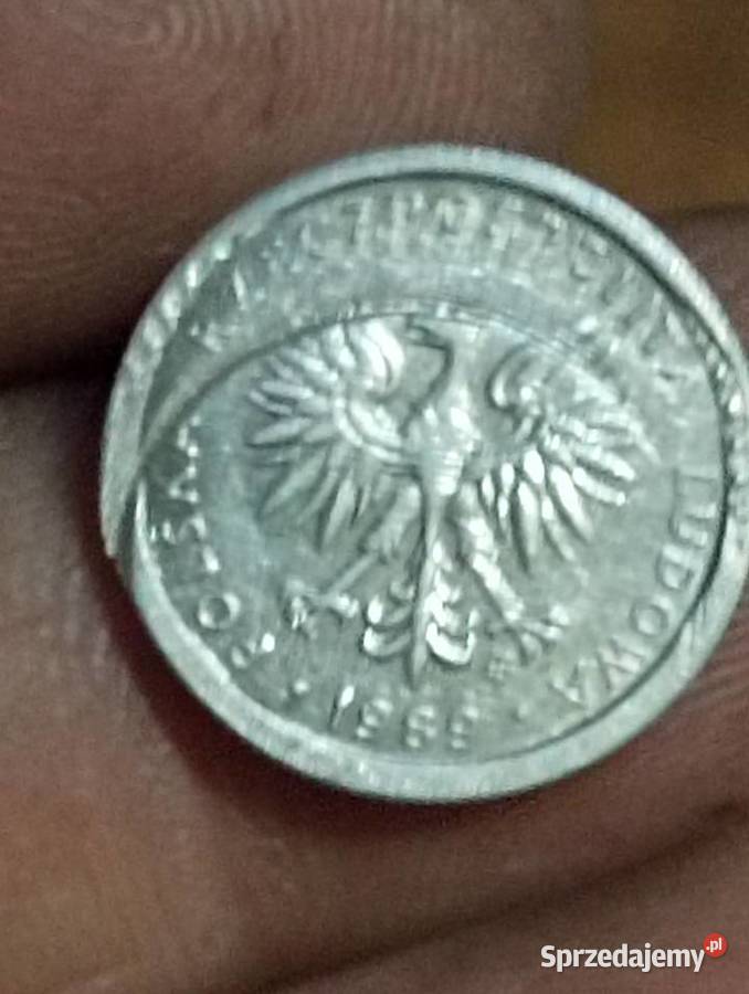 Sprzedam monte 1 zloty 1989 dwsteukt Chełm sprzedam