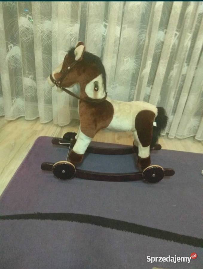 Konik na biegunach promocja śląskie Zawiercie