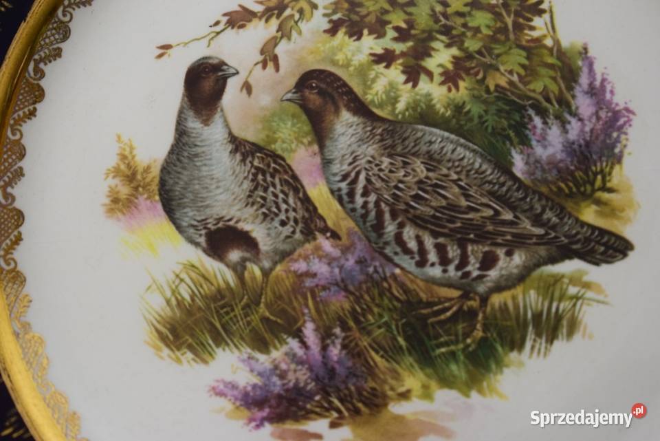 Brytyjski talerz ozdobny z serii ptactwa łownego kujawsko-pomorskie Chełmno