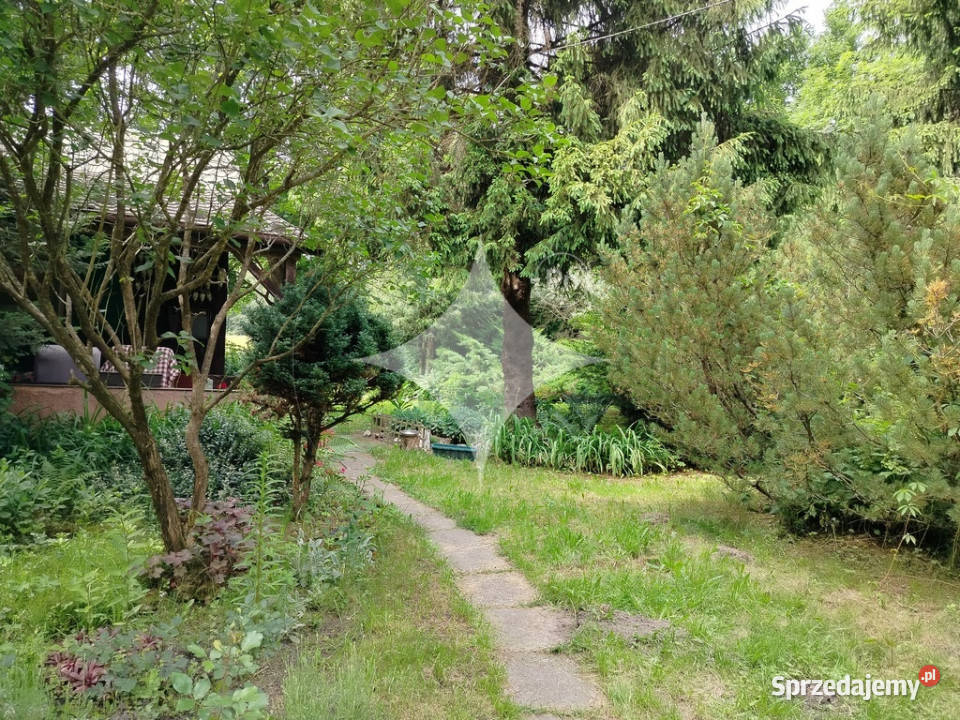 piękne ranczo z łąką i lasem pod HoryńcemZdrojem polna Dziewięcierz sprzedam