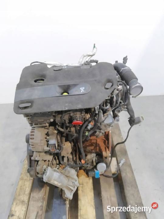 SILNIK KOMPLETNY DIESEL AH01 20 BLUE HDI Citroen Rok produkcji 2024