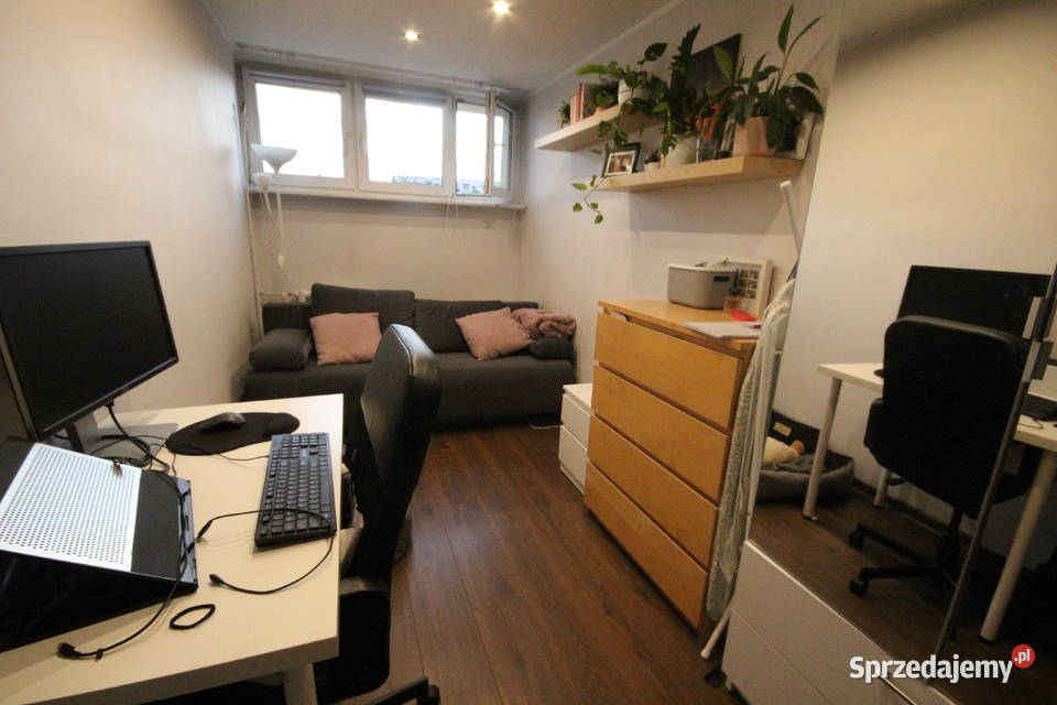 2pok 36met Brązowej PEŁEN ROZKŁADBALKON Wrocław Liczba pokoi 2 sprzedam