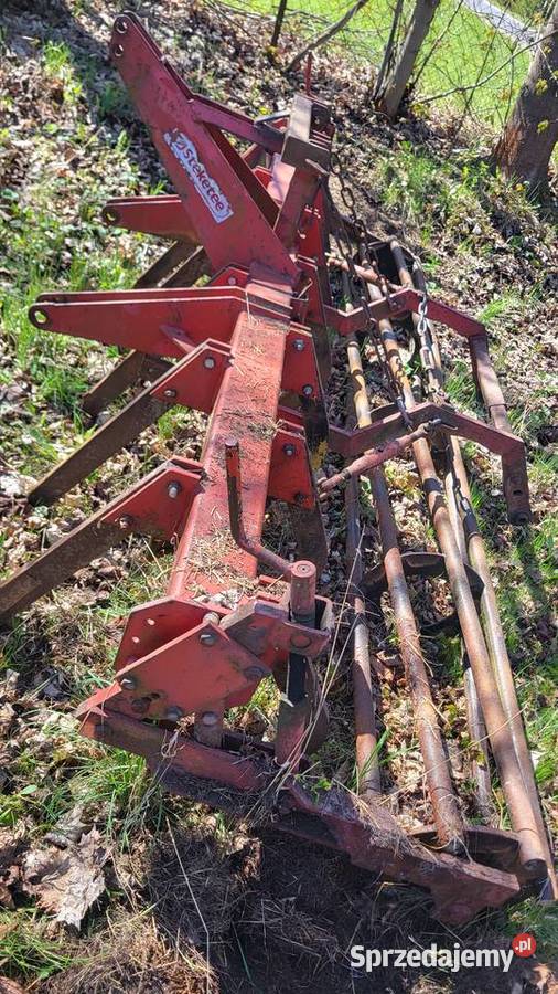 Bezorkowiec Kłodzko