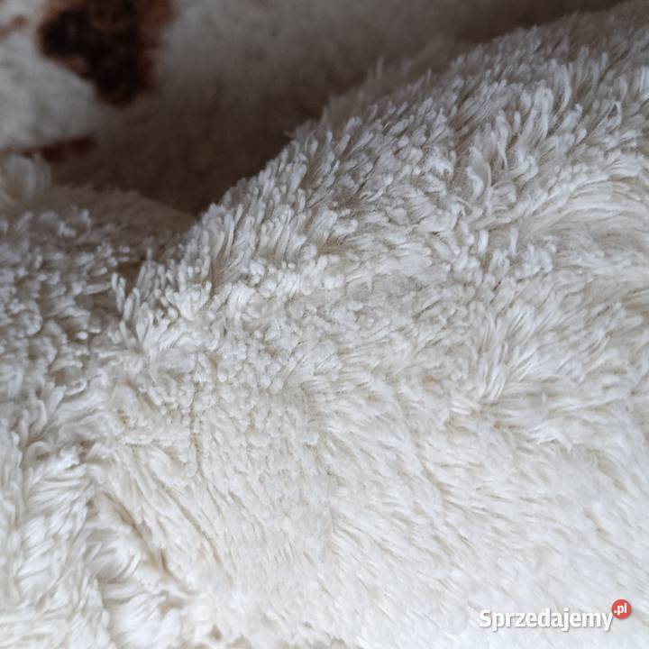 miś w odcieniu kremowym 40 Poznań