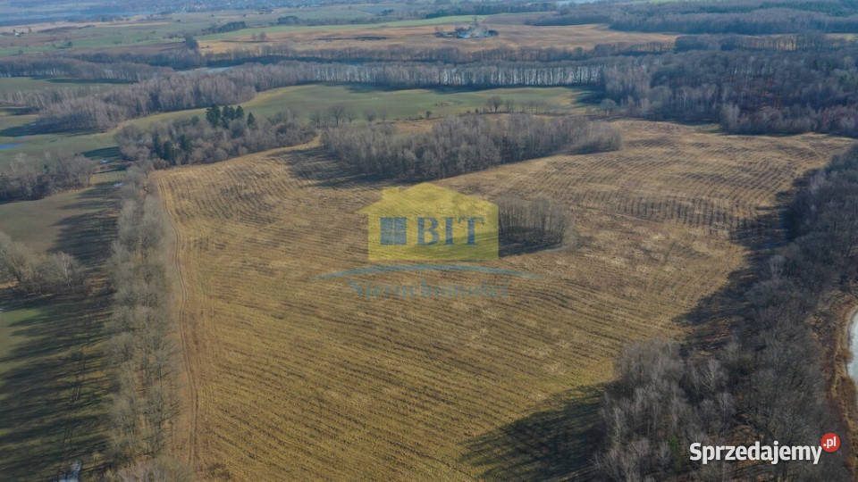 Działka 20ha z dostępem do Jeziora Kaleńskiego zachodniopomorskie Żelisławie