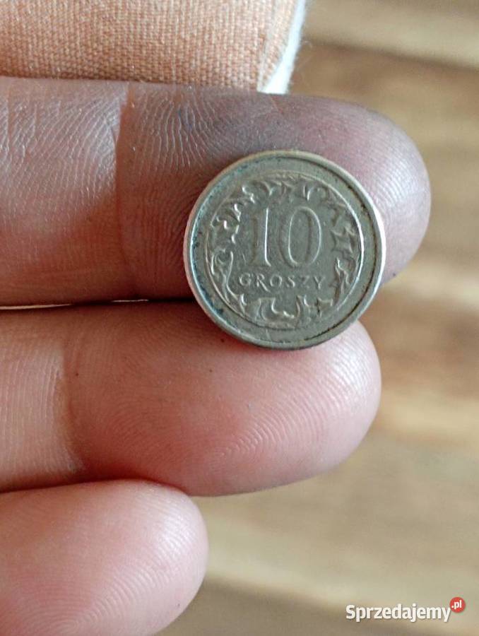 Sprzedam 10 groszy 2009 r Destrukt Chełm