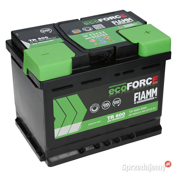 Akumulator Fiamm EcoForce AFB 12V 60Ah 600A P osobowe Akumulatory dolnośląskie Jelcz-Laskowice