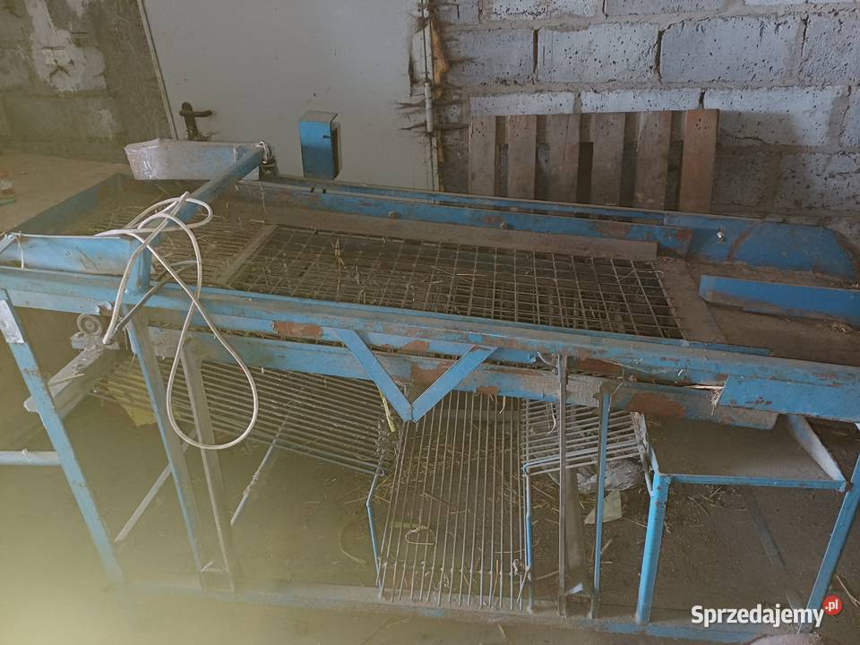 Sortiwnik Wieluń