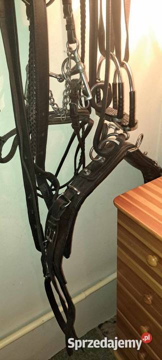 Uprząż ogłowia kantary Warka