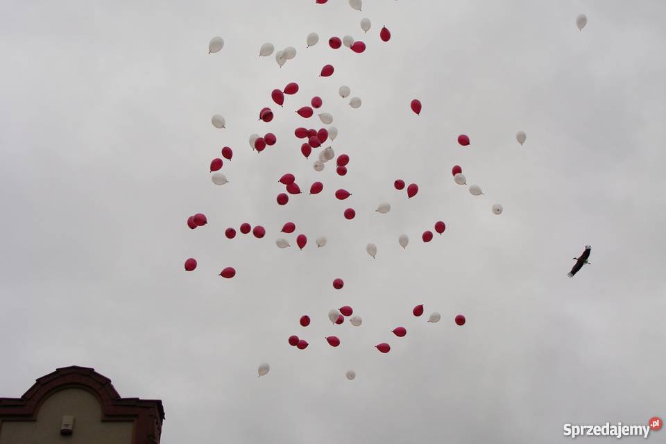 Prezent z balonami helowymi pudło niespodzianka Piaseczno