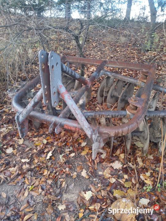 Talerzowka Krasnystaw