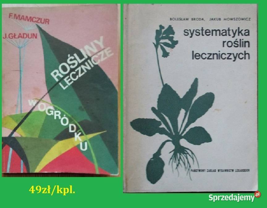 Rośliny lecznicze w ogródku Systematyka roślin Łódź