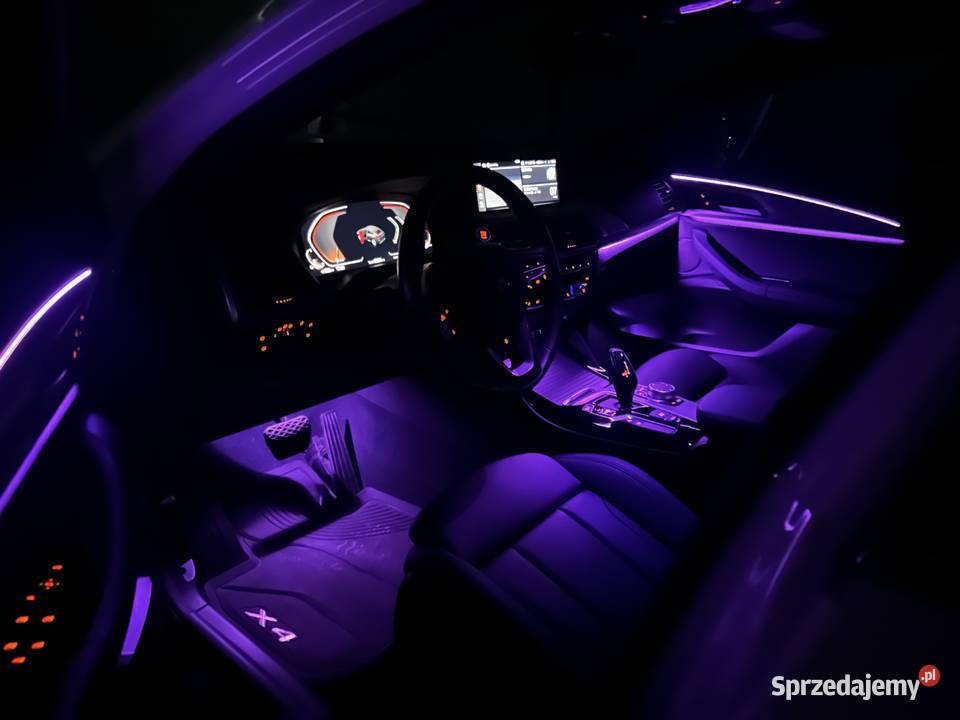 BMW X4 xDrive 30i xLine Sport Skóra Panorama