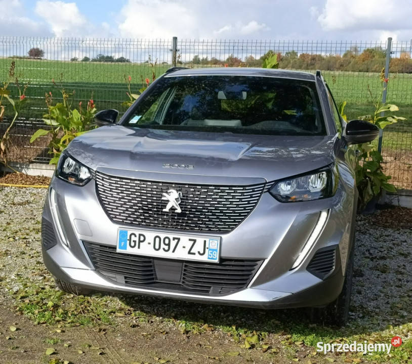 Peugeot 2008 2008 8 II 2019 Pleszew