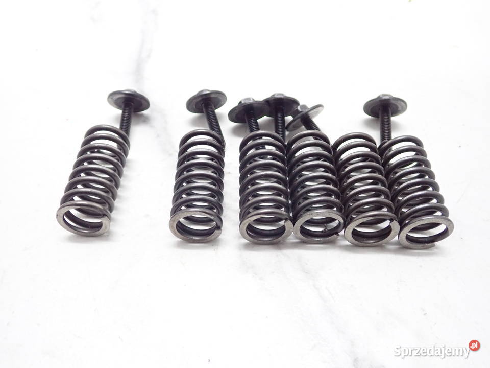 Sprężyny Śruby Kosza Sprzęgła Suzuki RM 250 Kosze sprzęgłowe Strzelce Krajeńskie