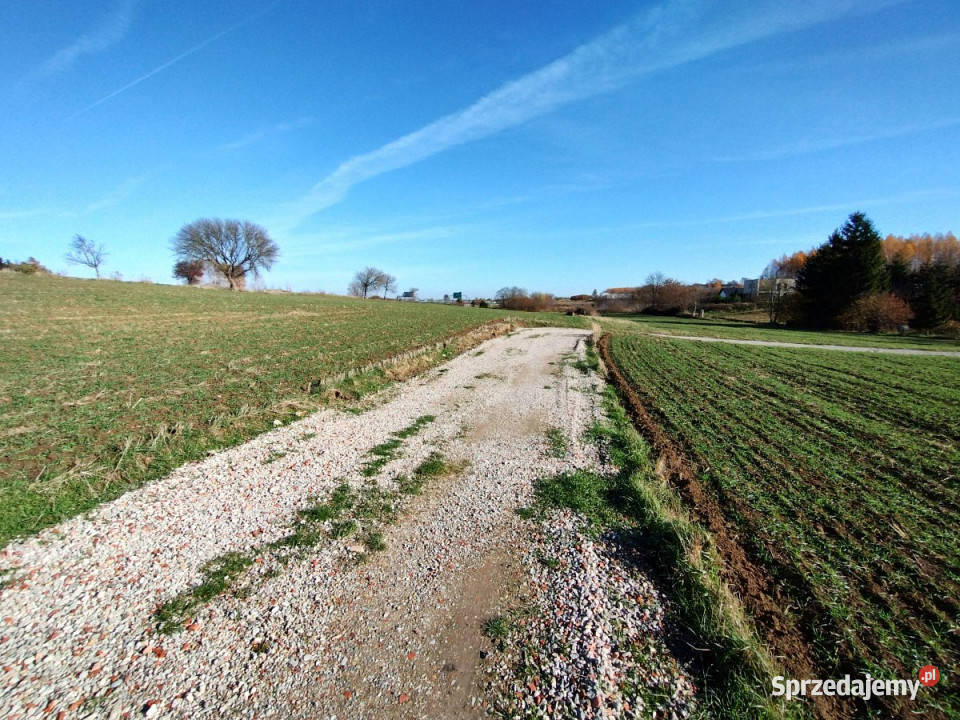 Sprzedaż działki 1667m2 Marysin sprzedam