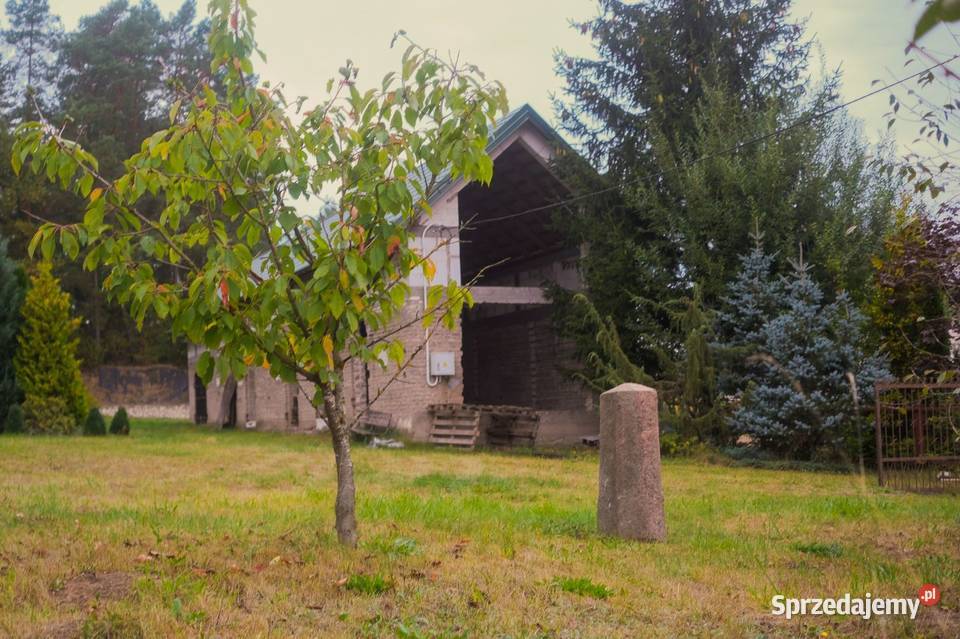 Urocze siedlisko z lasem i wzgórzem stawami