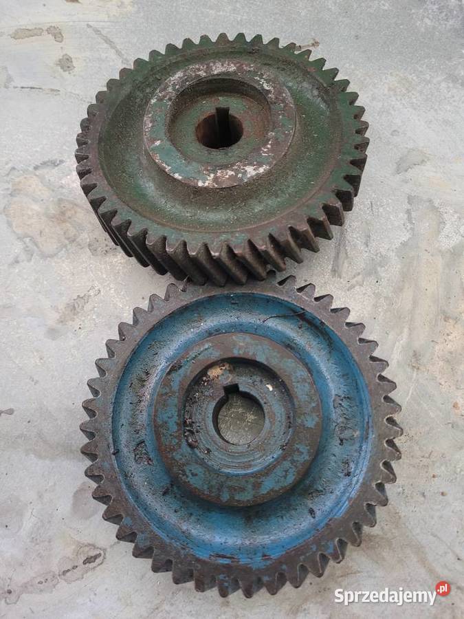 Koło rozrządu Zetor 3011 Major Staszów