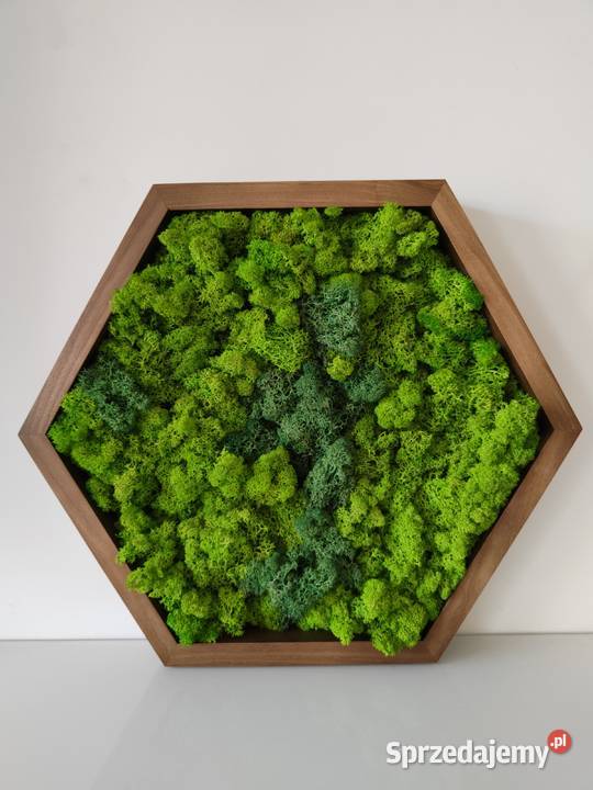 Ramki heksagon komplet 3 Wrocław