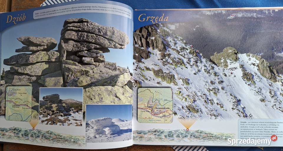 KarkonoszeM Szatkowski RWitczak R Fronia Kraków