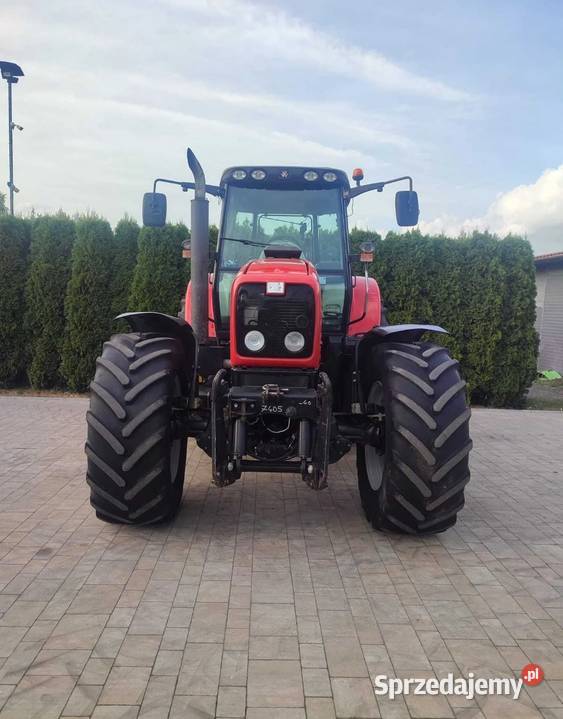 Massey Ferguson 6490 Grabów Szlachecki