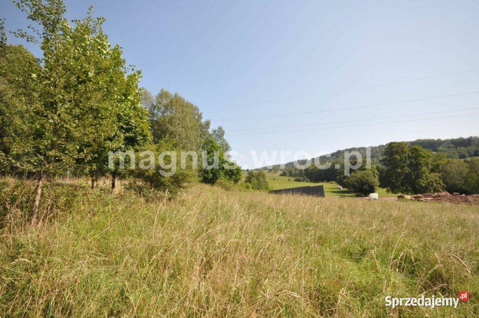 Widokowa działka budowlana na lekkim stoku Sprzedaż dolnośląskie Głuszyca