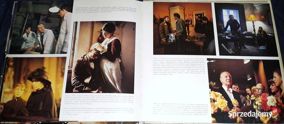 Film polski wczoraj i dziś Stanisław Janicki Rok wydania 1982 Chełm sprzedam