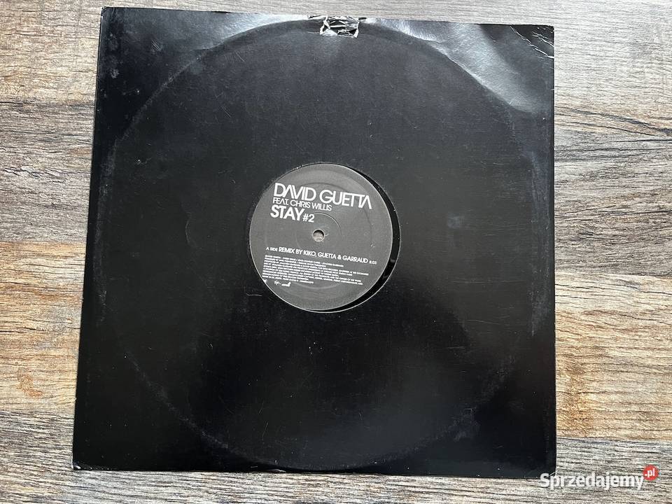 David Guetta feat Chris Willis Stay 2 House Błażejowice sprzedam