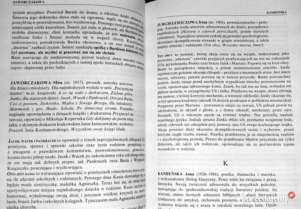Słownik pisarzy lektur i terminów literackich Pozostałe Chełm