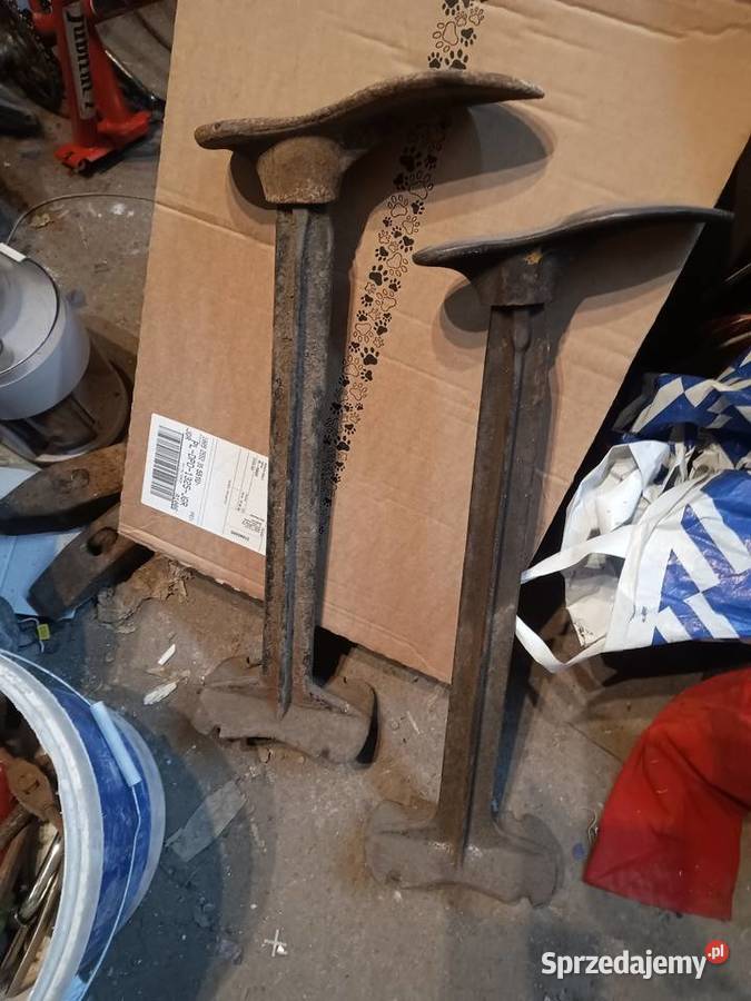 Kopyto szewskie Leśna