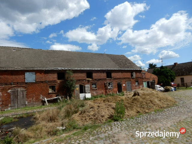 Syndyk sprzeda udział 422 działka 24 Trzeszyn