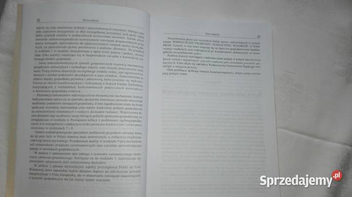 PUngerProcesy alokacji w nowoczesnej gospodarce Katowice