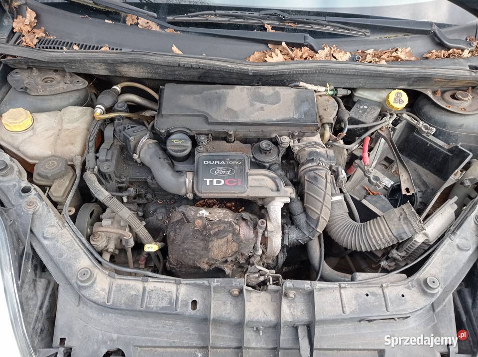 Ford Fiesta 14 TDCi 2002 r dawca części Szklarka Myślniewska