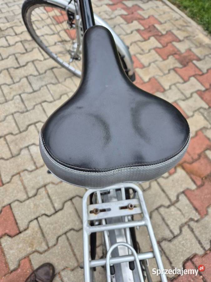Rower męski batavus Żodyń