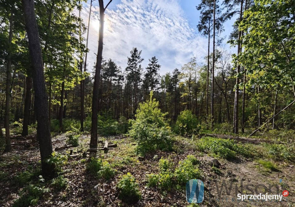 sprzedaży gruntu Warszawa 1656m2 mazowieckie