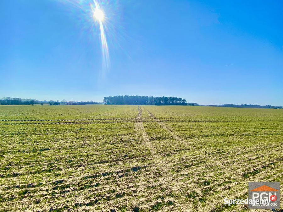 Działka Gryfice 3055m2 39zł/m2 Grunty i działki