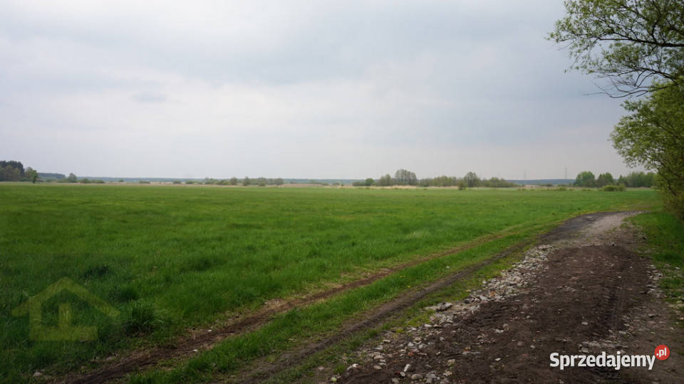 Nieruchomość w Całowaniu Całowanie