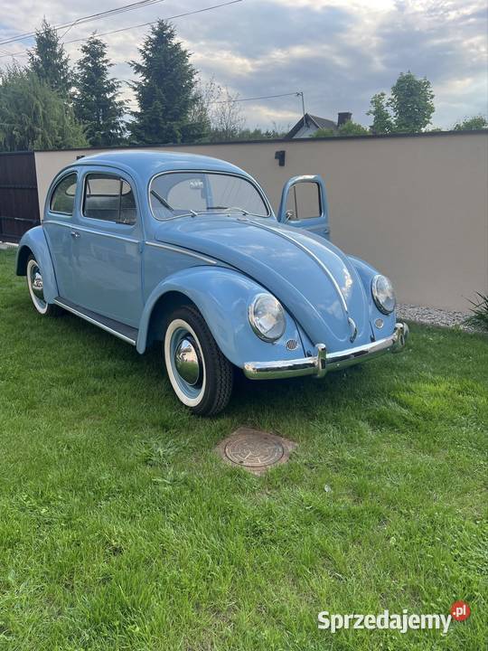 VW Garbus Oval 1954 Garbus małopolskie Olesno