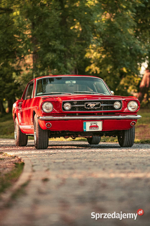 Sprzedam Ford Mustang 1966 V8 Łańcut sprzedam