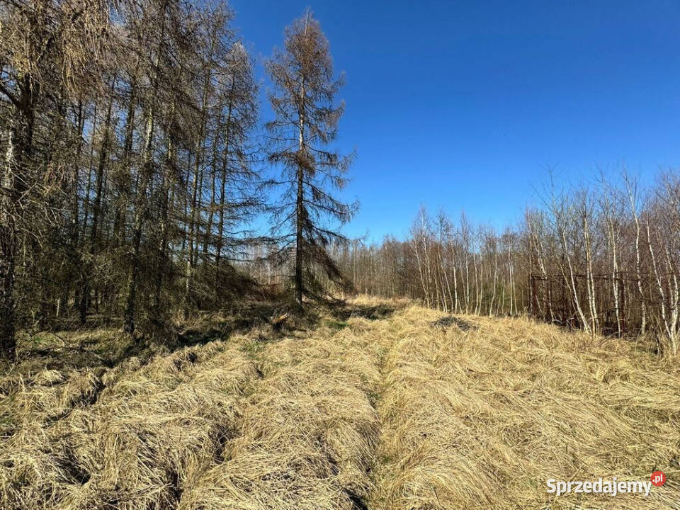 Działka budowlana 5436 m Łuków Śląski śląskie sprzedam