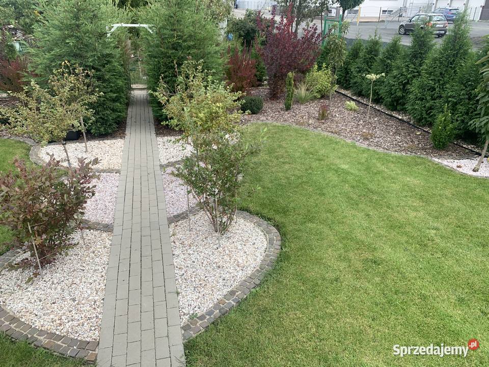 Sprzedam ogródek działkowy Działka rekreacyjna Legnica