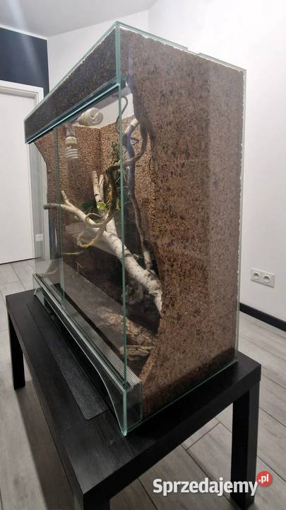 Sprzedam Terrarium szklane 80 396 85 2 lampy UVB Gdańsk